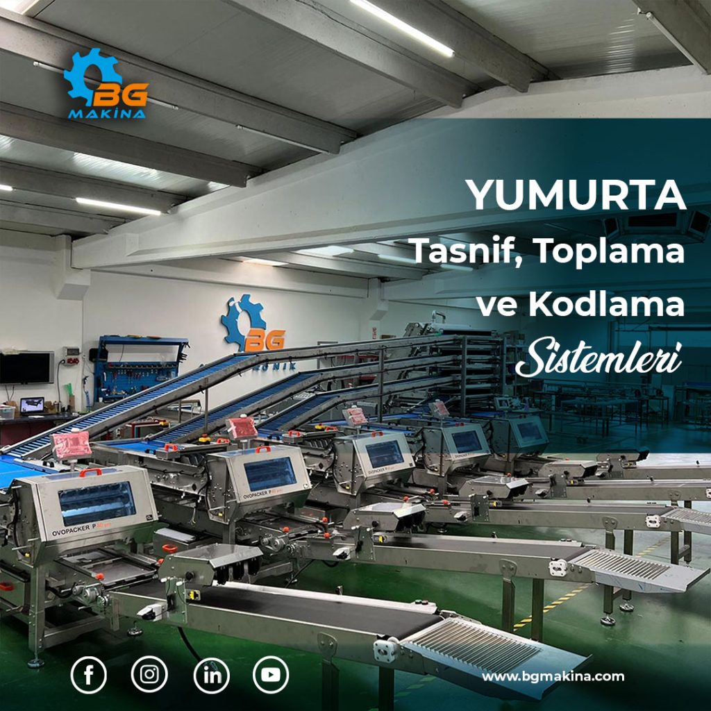 Rejital | Dijital Reklam Ajansı bg-post-1024x1024  